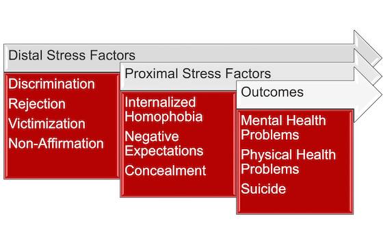 Minority Stress Theory.